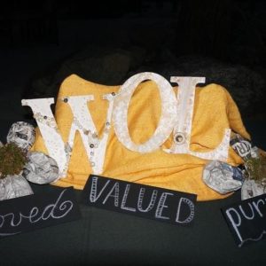 New WOL Logo